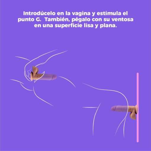 Dr. Skin Plus 18 cm con Testículos – Mocha-formas de uso