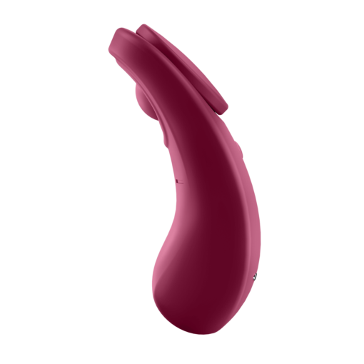 Satisfyer Sexy Secret con App 4